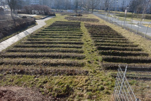 Beete im Saatgutgarten
